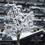 Mont Blanc מלון 4*